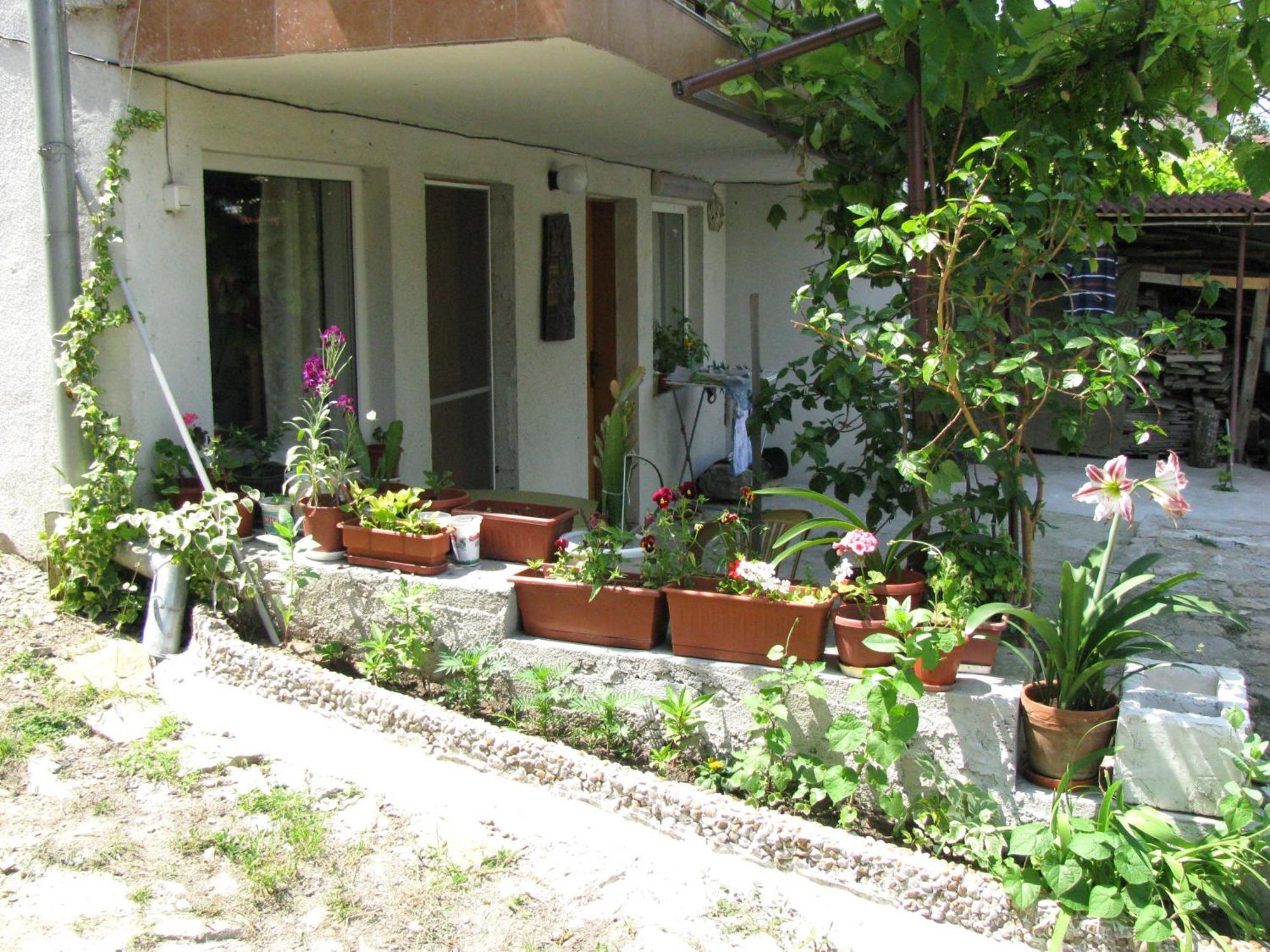 Guest House Familia Samovodene Εξωτερικό φωτογραφία