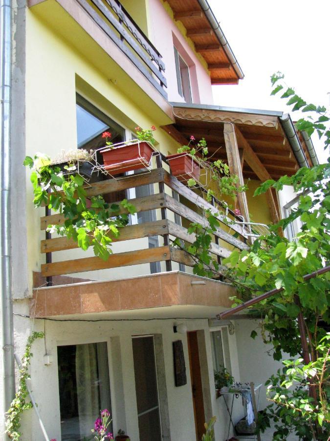 Guest House Familia Samovodene Εξωτερικό φωτογραφία